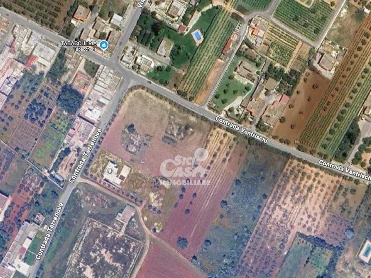 immagine annuncio 10 di 12