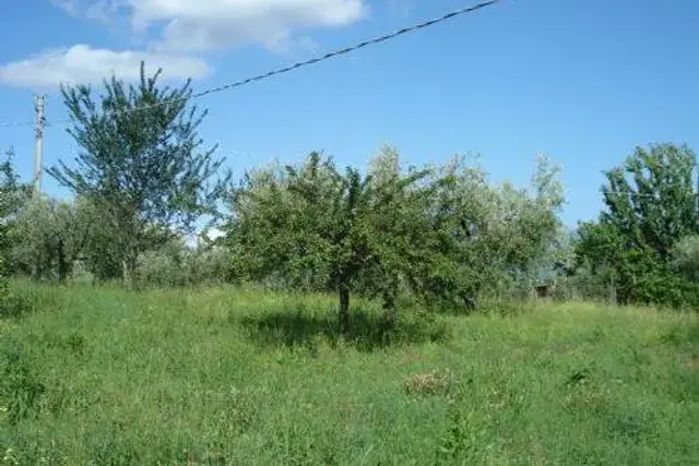 Terreno agricolo in Via di Contrada Comune, Velletri - Foto 1