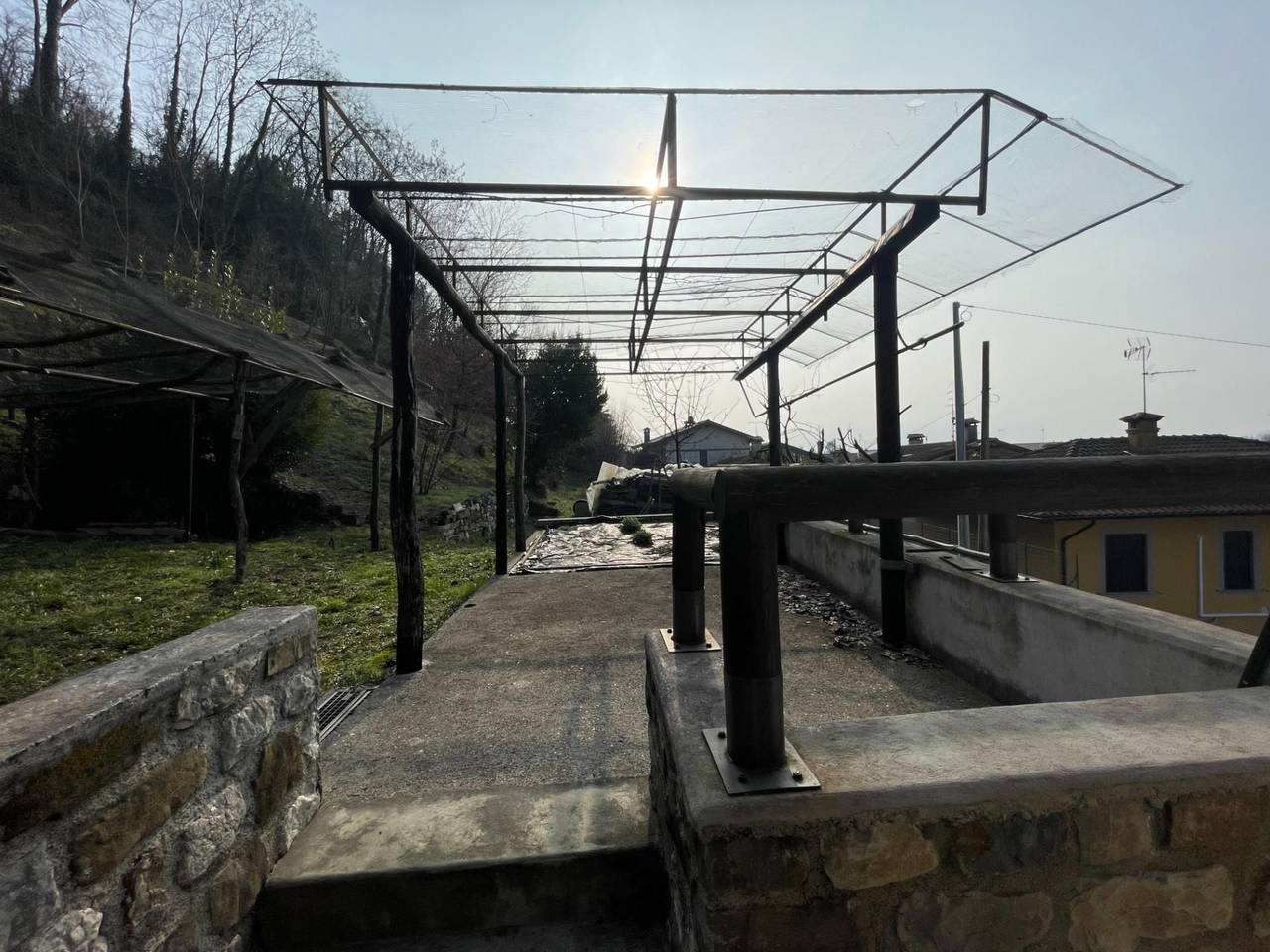 immagine annuncio 9 di 11