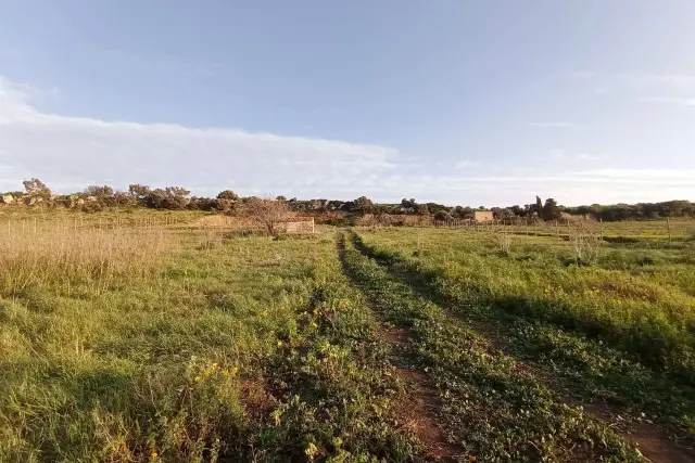 Terreno agricolo, Pachino - Foto 1