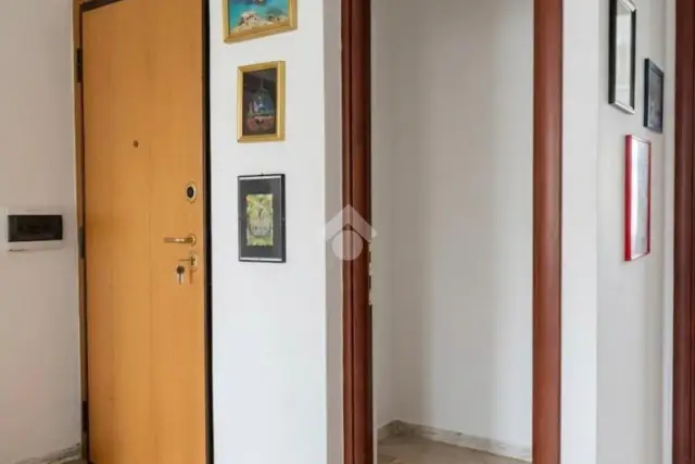 insertion image