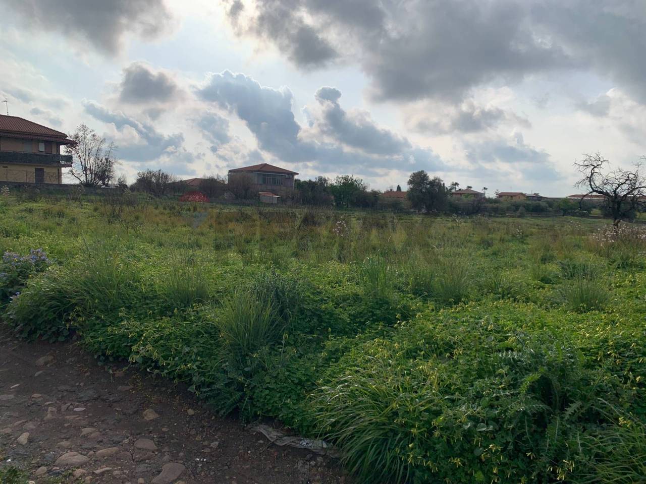 immagine annuncio 4 di 7