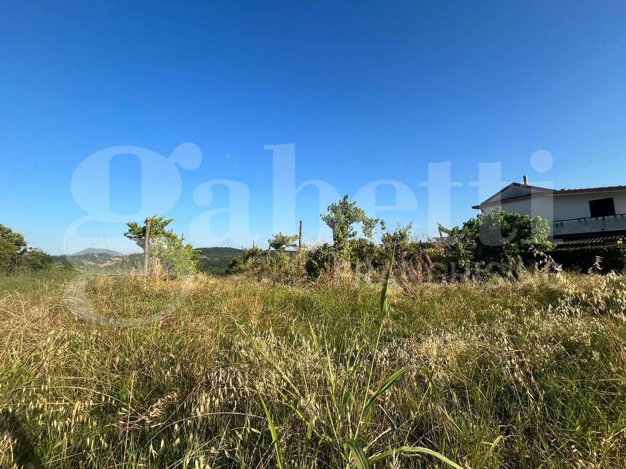 immagine annuncio 5 di 6