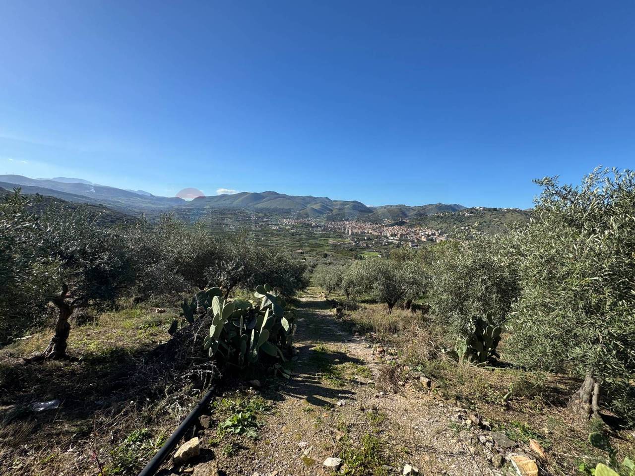 immagine annuncio 6 di 9