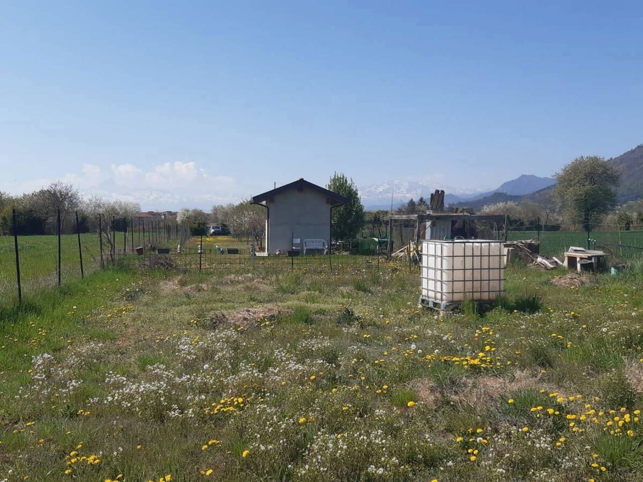 immagine annuncio 7 di 15