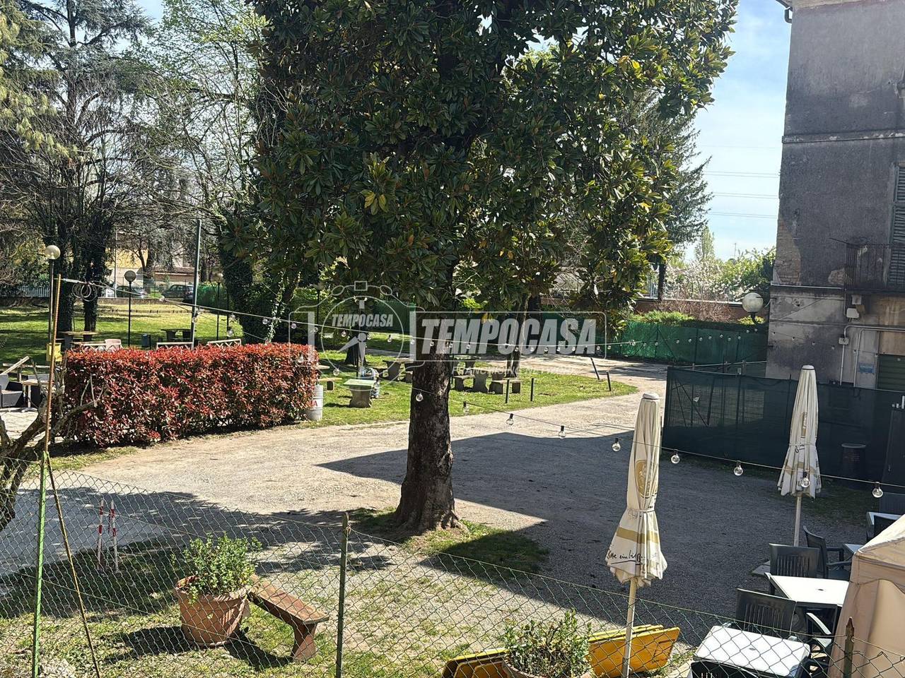 immagine annuncio 7 di 12