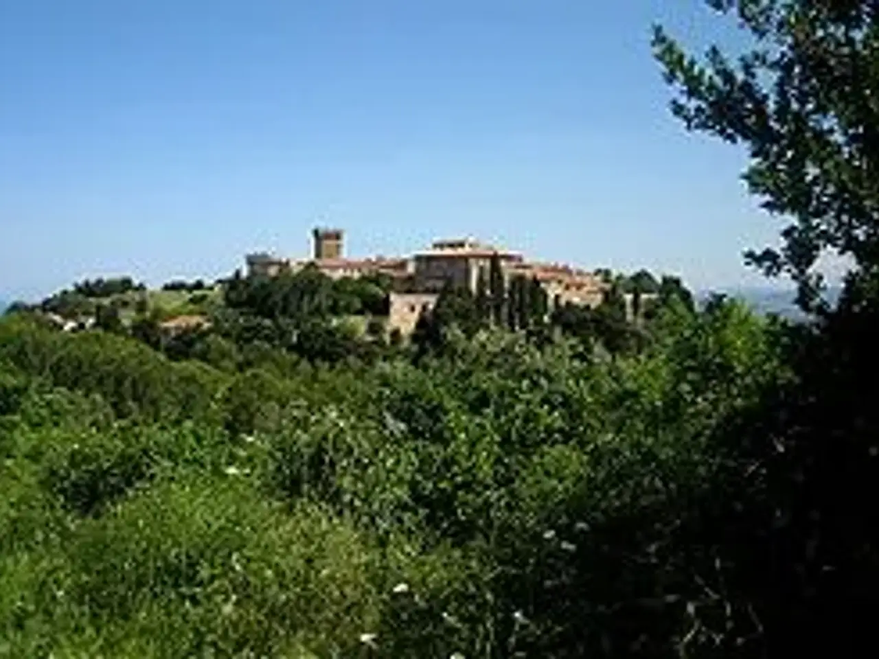 Azienda agricola in Grosseto, Gavorrano, {3} - Foto 1