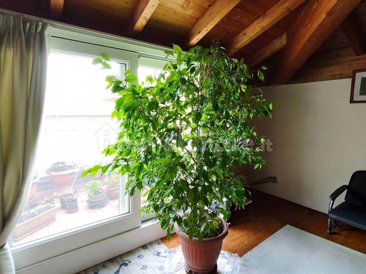 immagine annuncio 5 di 8