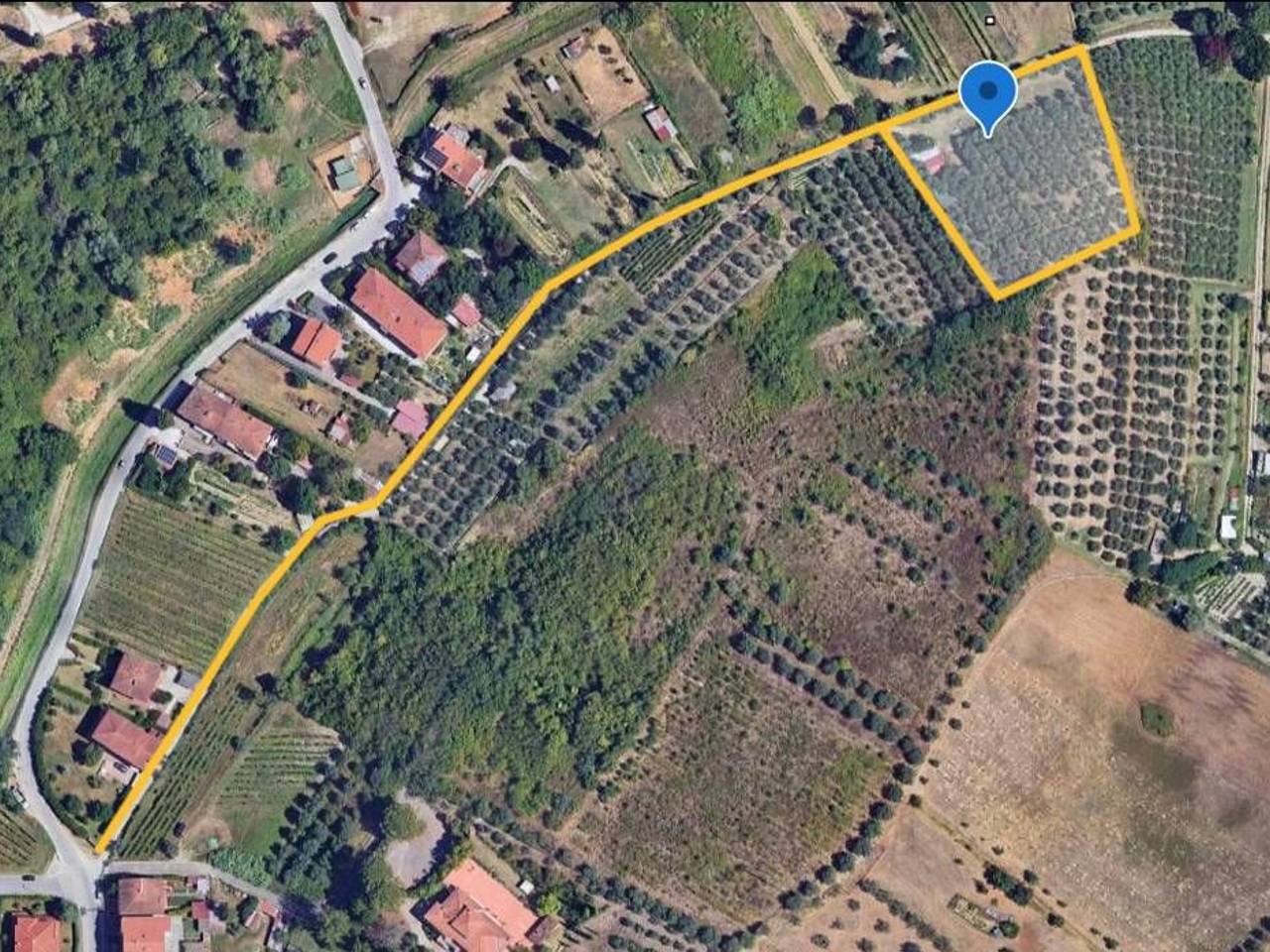 immagine annuncio 2 di 3