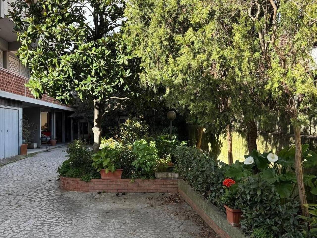 immagine annuncio 1 di 7