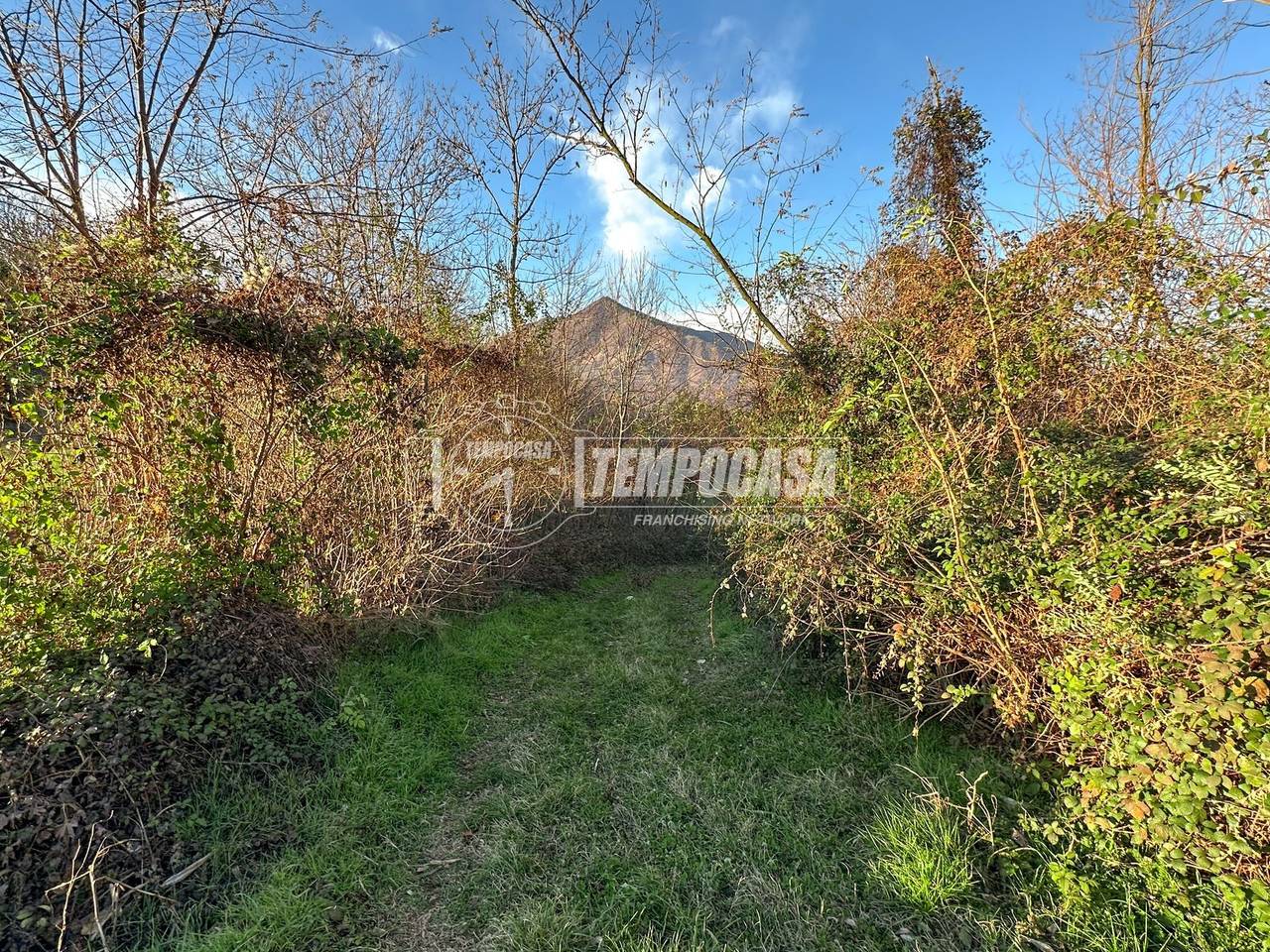 immagine annuncio 2 di 6