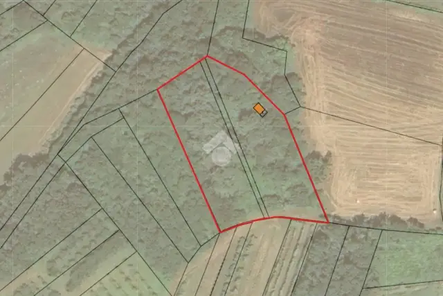 insertion image