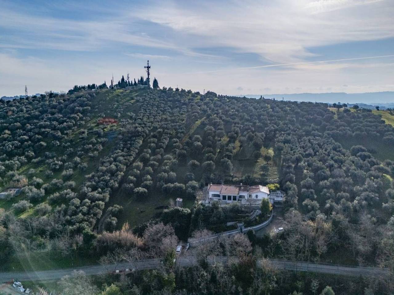 immagine annuncio 1 di 8