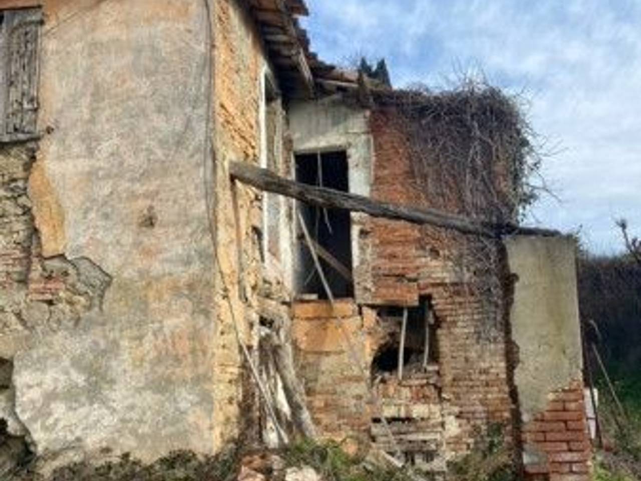 immagine annuncio 1 di 6