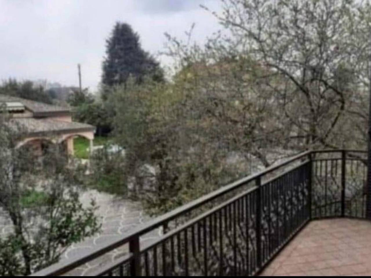 immagine annuncio 2 di 6