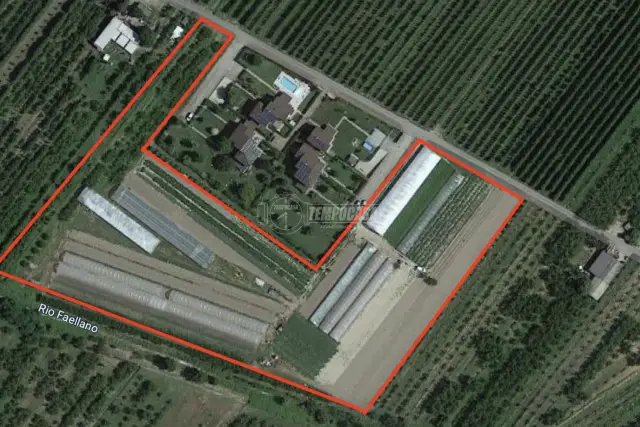 insertion image