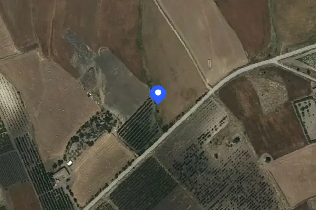 insertion image