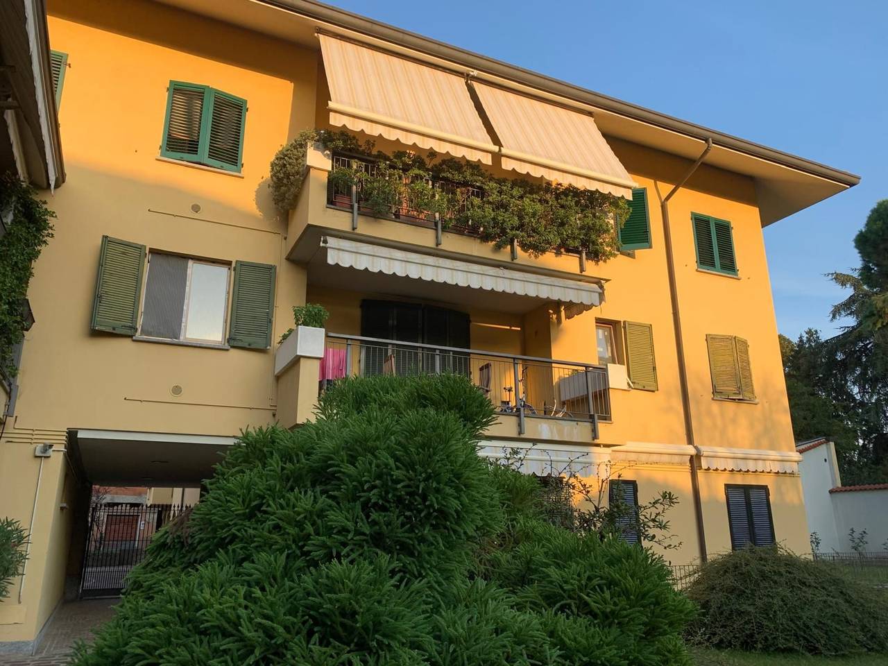 immagine annuncio 3 di 12