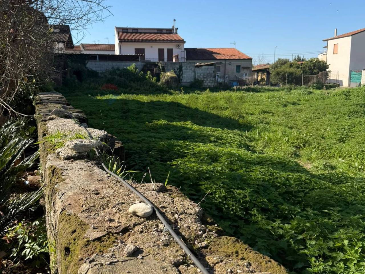 immagine annuncio 10 di 13