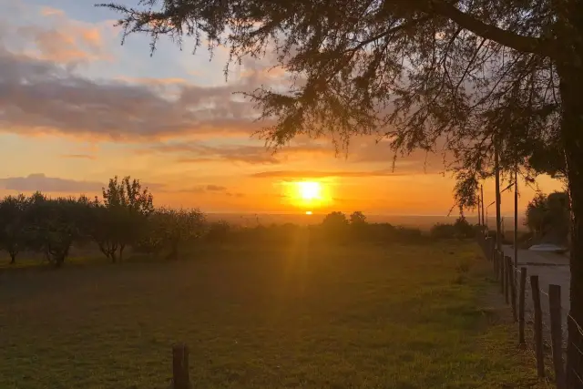 Terreno agricolo in Rongolisi, Sessa Aurunca - Foto 1