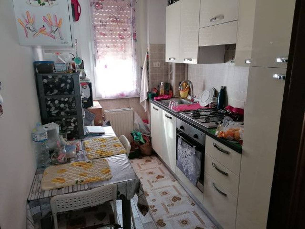 immagine annuncio 9 di 14