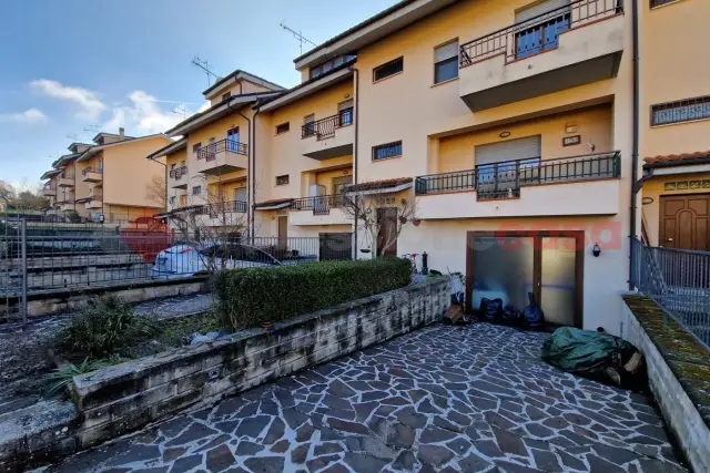 insertion image