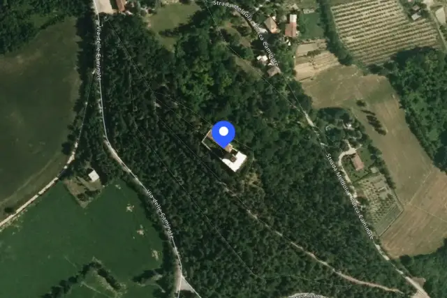insertion image
