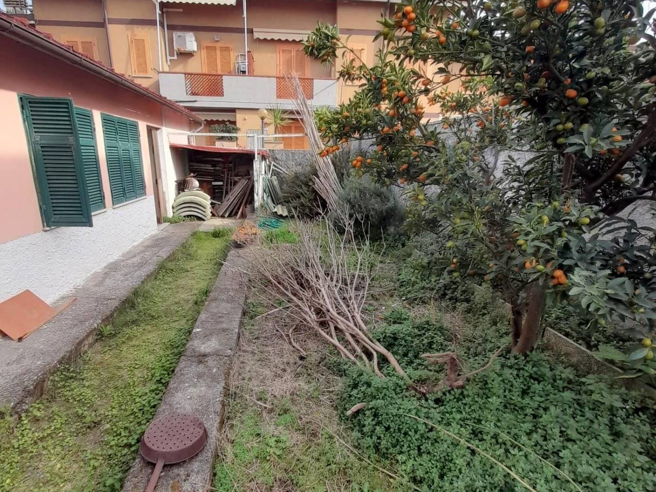 immagine annuncio 1 di 12