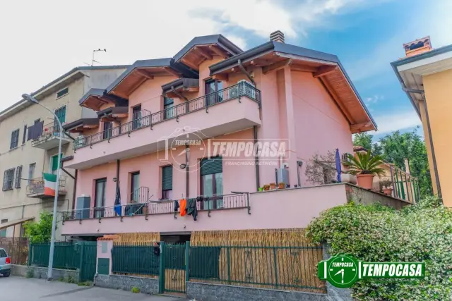 insertion image