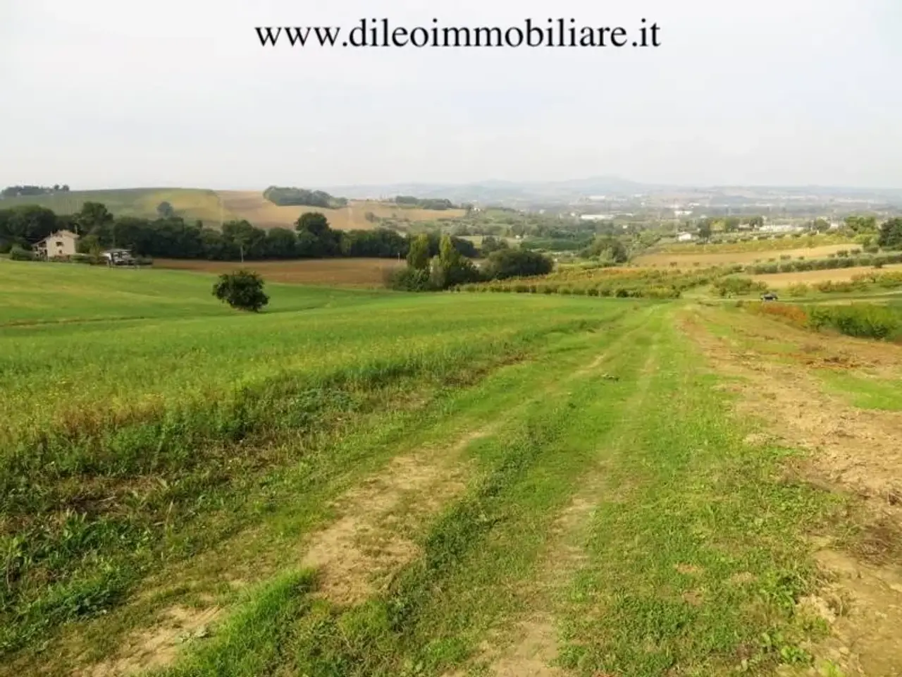 Azienda agricola in , Pesaro, {3} - Foto 1