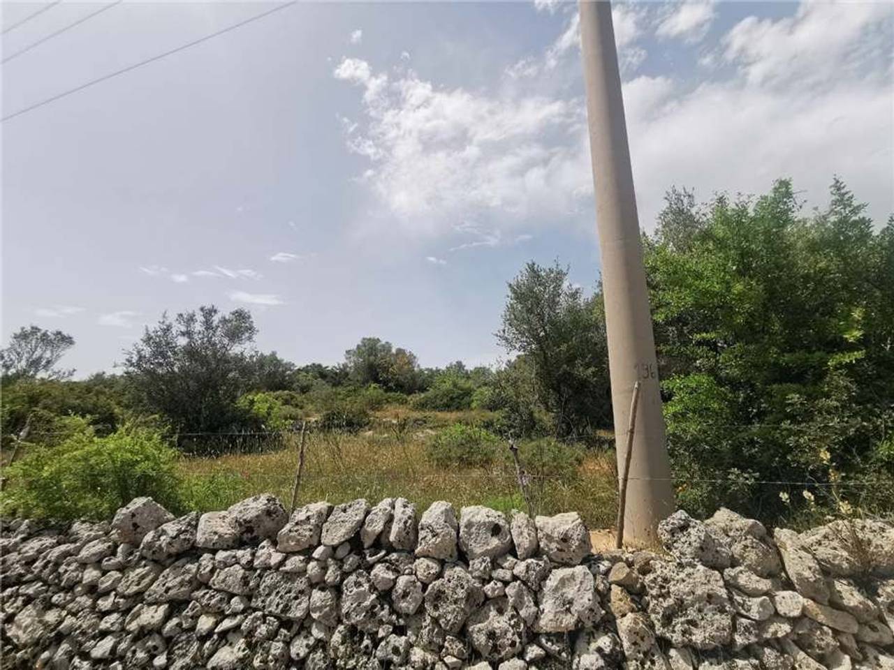 immagine annuncio 5 di 9