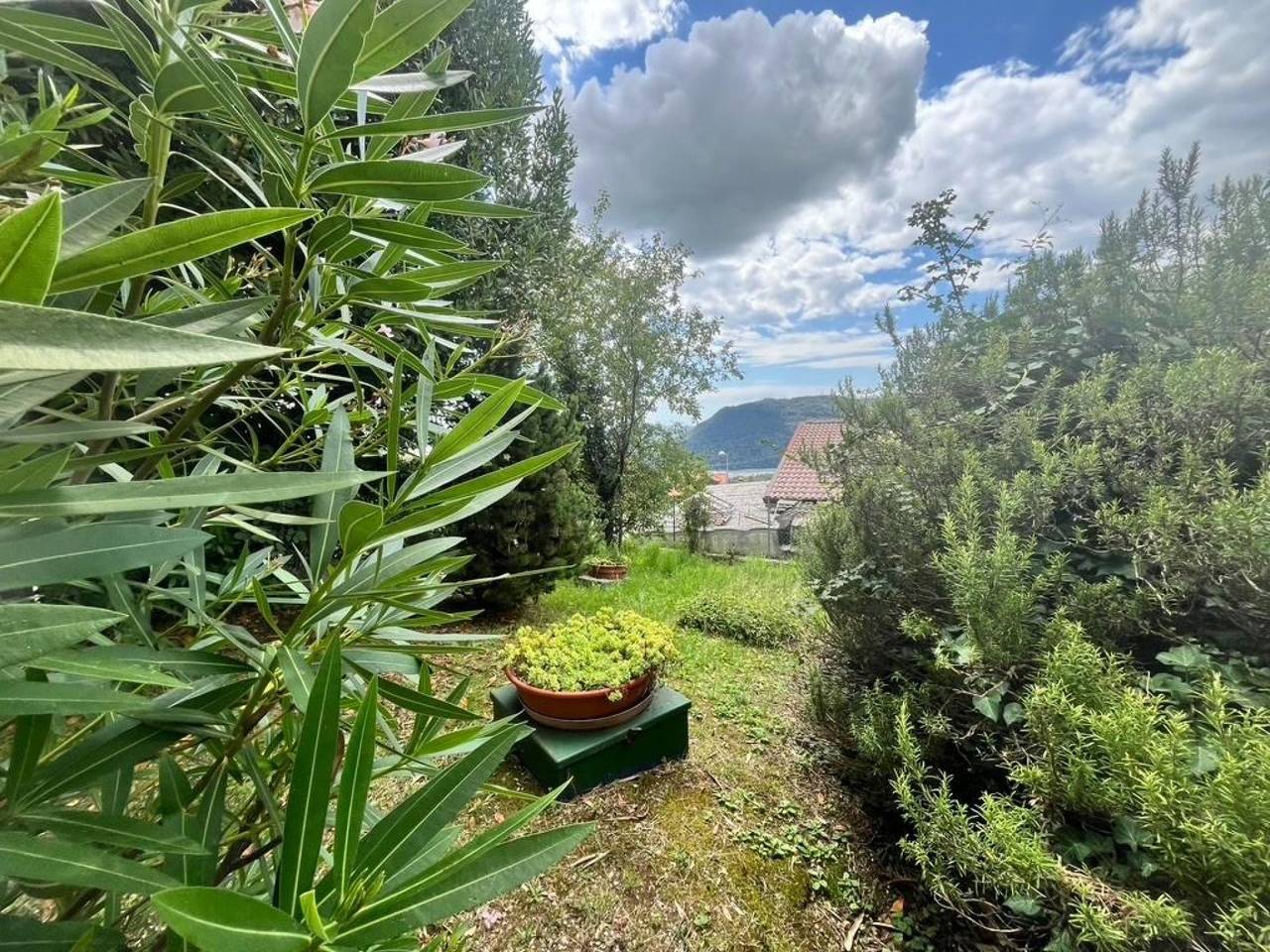 immagine annuncio 10 di 12