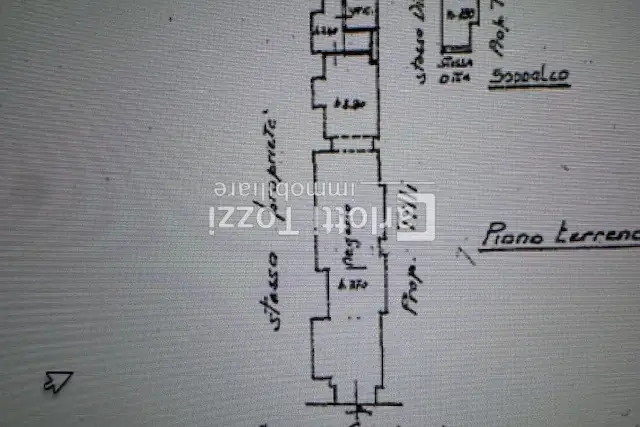 insertion image