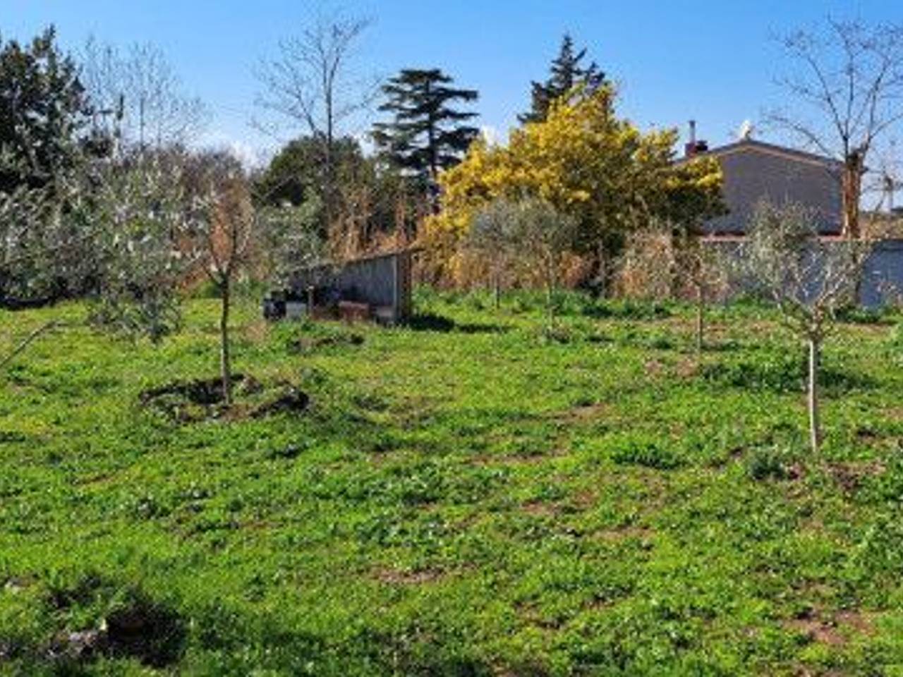 immagine annuncio 13 di 15