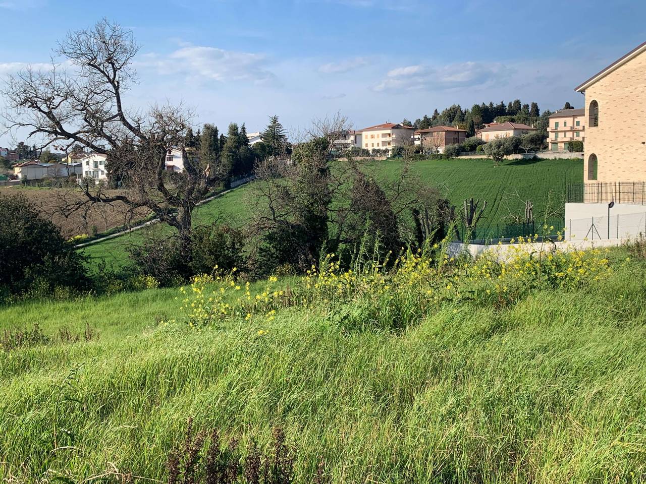 immagine annuncio 8 di 11