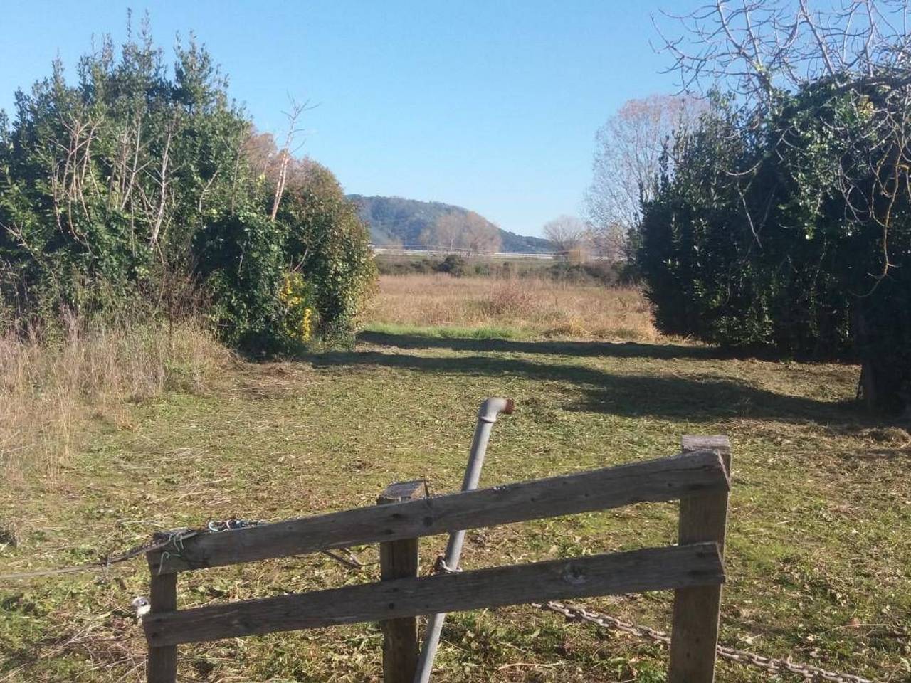 immagine annuncio 6 di 8