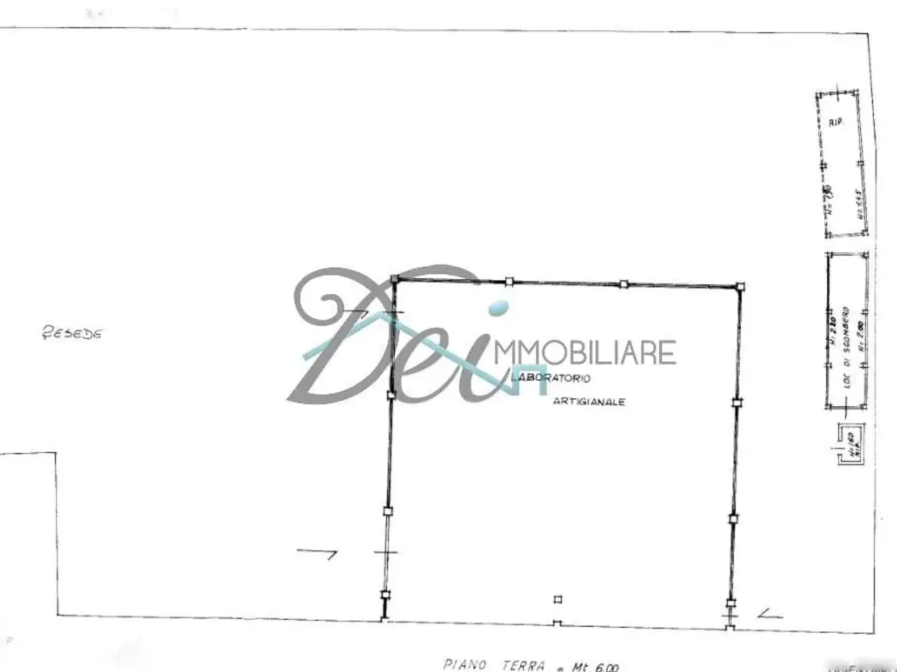 Capannone in Via delle Ville, Capannori, {3} - Planimetria 1