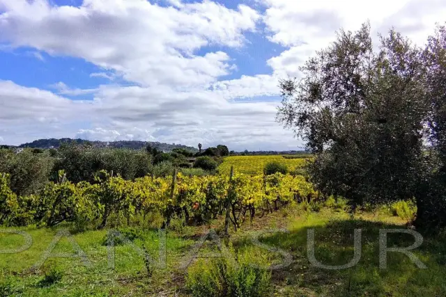 Terreno agricolo, Genzano di Roma - Foto 1