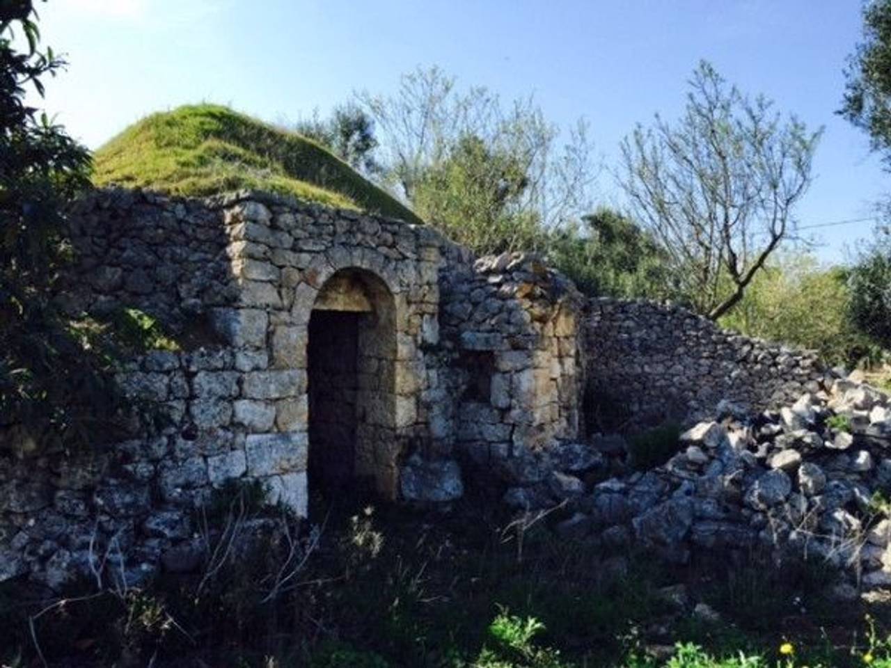 immagine annuncio 7 di 15