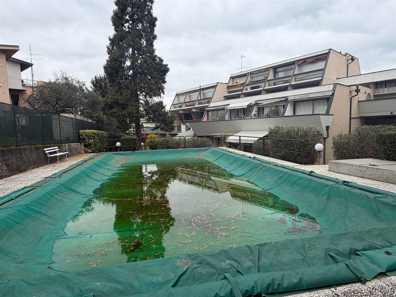 immagine annuncio 11 di 13