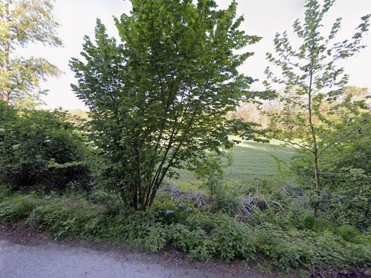 immagine annuncio 8 di 13