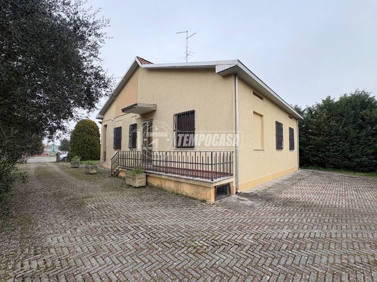 immagine annuncio 1 di 7