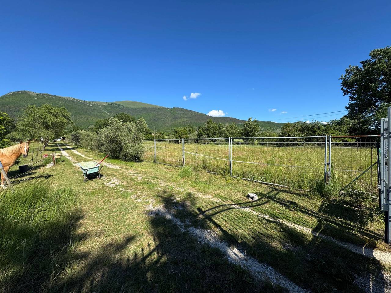 immagine annuncio 1 di 3