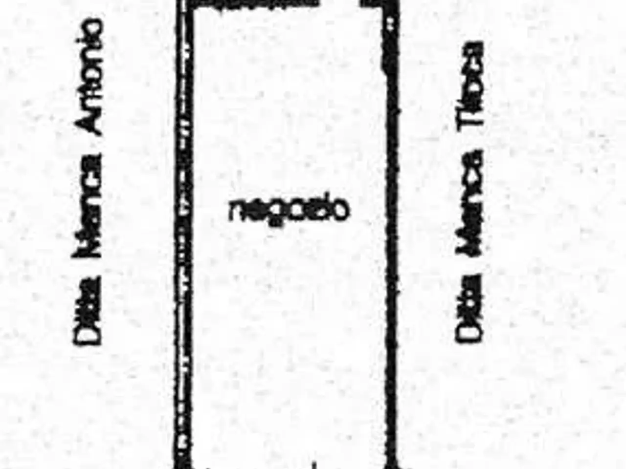 Negozio in Corso Vittorio Emanuele 149, Ittiri, {3} - Planimetria 1