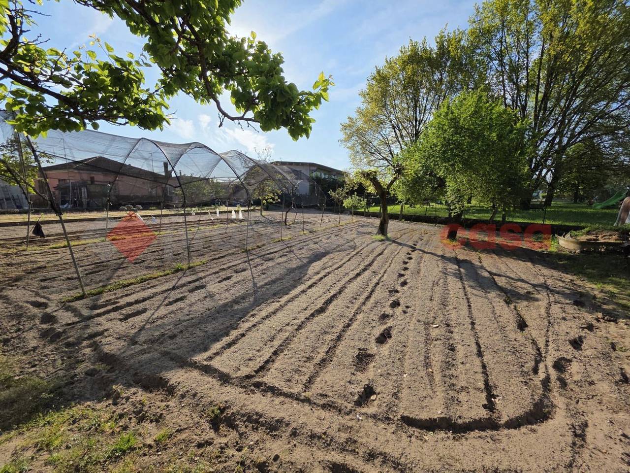 immagine annuncio 13 di 14