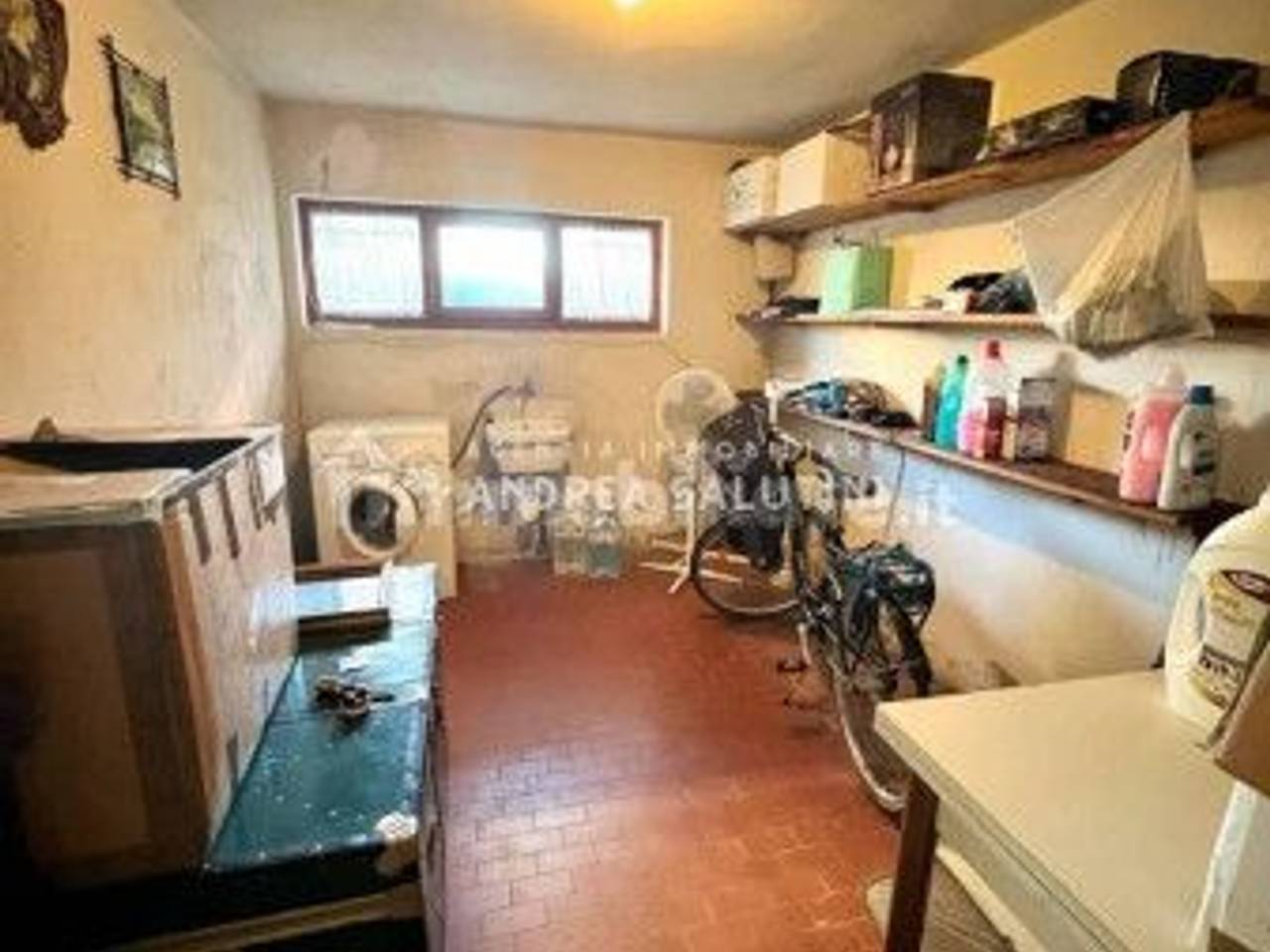 immagine annuncio 13 di 14