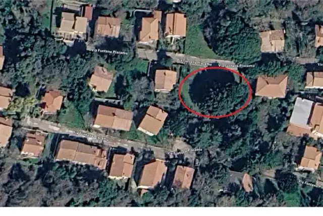 insertion image