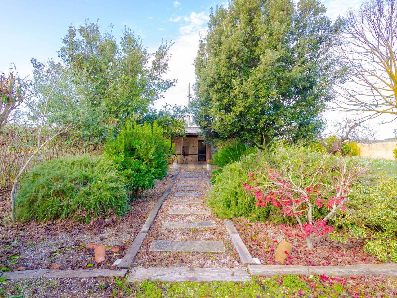 immagine annuncio 3 di 14