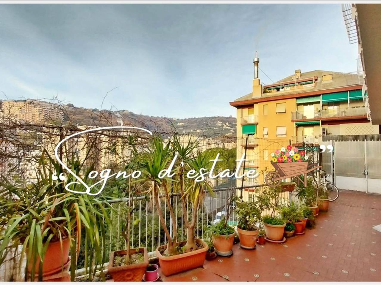 immagine annuncio 7 di 15