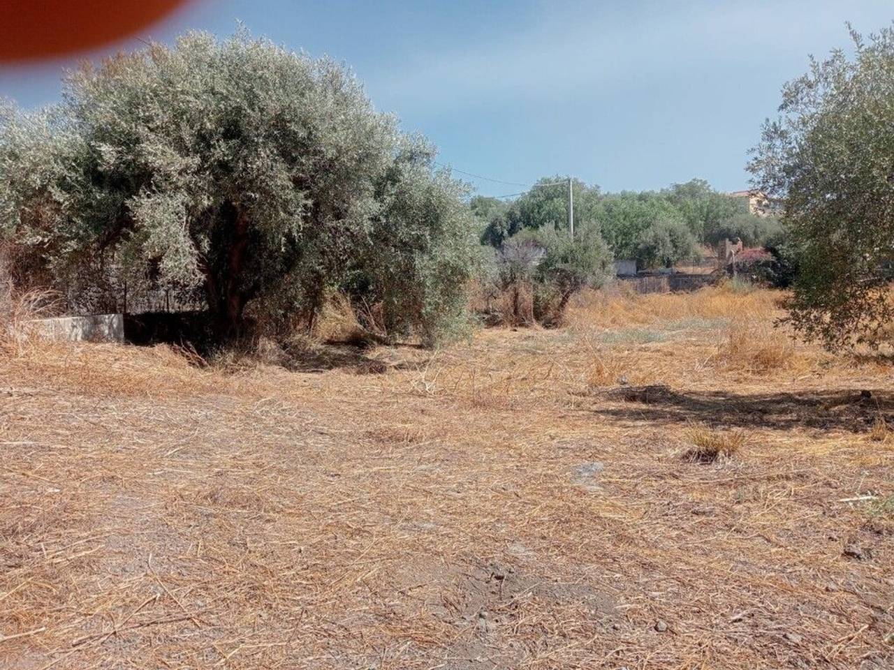 immagine annuncio 1 di 7